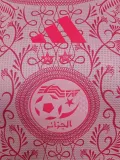 2024-25 Algeria Pink Special Edition Player Version Training shirts #A34