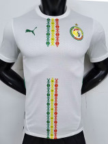 2024-25 Senegal Home Player Version Soccer Jersey