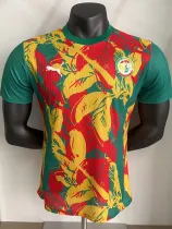 2024-25 Senegal Red Yellow Green Player Version Training shirts