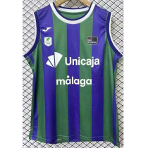 2024-25 BAR Purple Green Vest