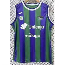 2024-25 BAR Purple Green Vest