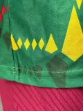 2024 Senegal Green Player Version Soccer Jersey