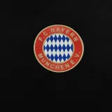 2024-25 Bayern Royal blue Hoody 宝蓝色(加绒)