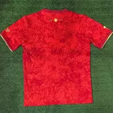 2024-25 Spain Comma Red Special Edition Fans Soccer Jersey