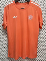 2024-25 Bayern Special Edition Orange Training shirts