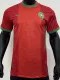 2024-25 Morocco Home Player Version Soccer Jersey