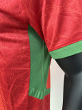 2024-25 Morocco Home Player Version Soccer Jersey