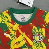 2024-25 Senegal Red Yellow Green Fans Training shirts