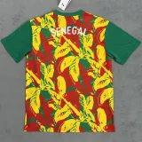 2024-25 Senegal Red Yellow Green Fans Training shirts