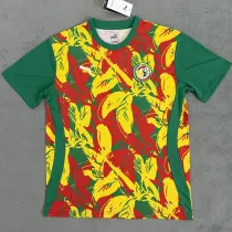 2024-25 Senegal Red Yellow Green Fans Training shirts