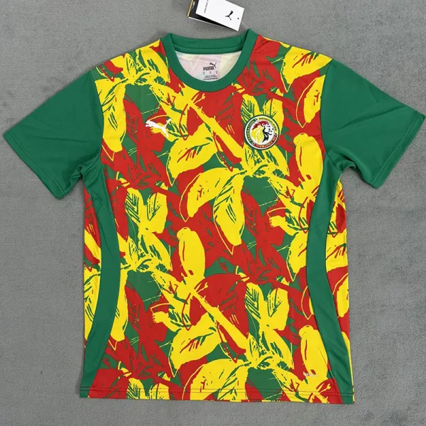 2024-25 Senegal Red Yellow Green Fans Training shirts