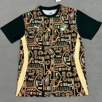2024-25 Ivory Coast Green Yellow Fans Training shirts