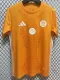 2024-25 Algeria Orange Special Edition Fans Soccer Jersey
