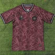 2024-25 Denmark HALO Special Edition Fans Soccer Jersey