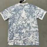 2024-25 Italy Grey White Special Edition Fans Soccer Jersey