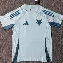 2025-26 Cruzeiro Blue Green Training shirts