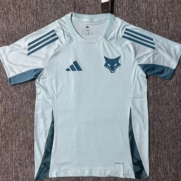 2025-26 Cruzeiro Blue Green Training shirts