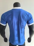 2025-26 RMA Blue Special Edition Player Version Training Shirts *翻领