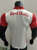 2025-26 Salzburg FC Special Edition Player Version Soccer Jersey 萨尔茨堡