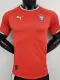 2025-26 Portugal Home Player Version Soccer Jersey *PM