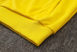 2024-25 Brazil Yellow Jacket Tracksuit