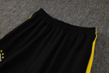 2024-25 Brazil Yellow Jacket Tracksuit