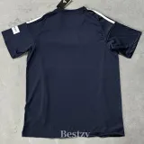 2025-26 Japan Royal Blue Special Edition Fans Soccer Jersey 宝蓝