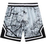C2439 AJ Grey Casual Short Pants