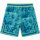 C2450 AJ Green Casual Short Pants