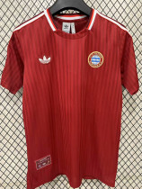 2024-25 Bayern Red Retro Edition Training Shirts