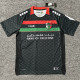 2025-26 Deportivo Palestino Away Fans Soccer Jersey