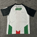 2025-26 Deportivo Palestino Home Fans Soccer Jersey