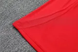 2025-26 Spain Red Polo Tracksuit