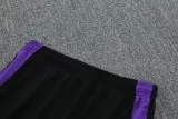 2025-26 Germany Purple Polo Tracksuit