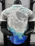 2025-26 Brazil Grey Blue Special Edition Player Version Soccer Jersey