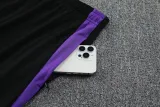 2025-26 Germany Purple Polo Tracksuit