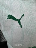 2025-26 Palmeiras Away Player Version Soccer Jersey