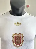 2024-25 Bayern White Special Edition Player Version Soccer Jersey (标在中间)