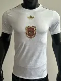 2024-25 Bayern White Special Edition Player Version Soccer Jersey (标在中间)