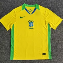 2025-26 Brazil W Home Fans Soccer Jersey *带星