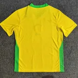 2025-26 Brazil Home Fans Soccer Jersey (带星)