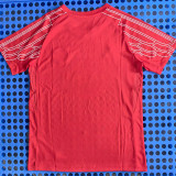 2024-25 PSG Red Fans Training shirts