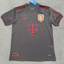 2024-25 Bayern Grey 125th Anniversary Fans Soccer Jersey *灰色