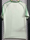 2024-25 Celtic Light Green Special Edition Fans Soccer Jersey