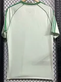 2024-25 Celtic Light Green Special Edition Fans Soccer Jersey