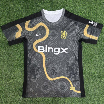 2025-26 CHE Limited Edition Fans Soccer Jersey *带袖广告