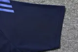 2025-26 AL-Nassr Royal blue Polo Tracksuit