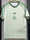 2024-25 Celtic Light Green Special Edition Fans Soccer Jersey