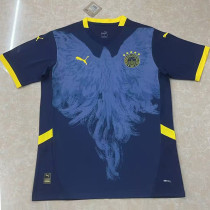 2025-26 Fenerbahce Special Edition Blue Fans Soccer Jersey