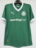2025-26 Palmeiras Home Player Version Soccer Jersey